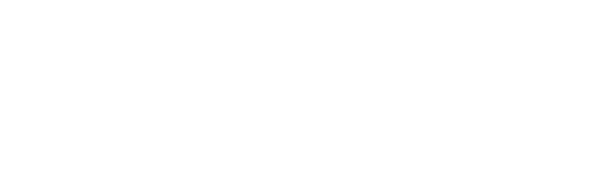 IQ School of Finance